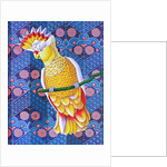 Cockatoo, 2016 by Jane Tattersfield