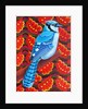 Blue Jay, 2016 by Jane Tattersfield