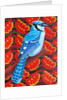 Blue Jay, 2016 by Jane Tattersfield