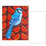 Blue Jay, 2016 by Jane Tattersfield