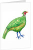 Pheasant, 1996 by Jane Tattersfield