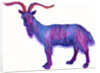 Goat Capricorn, 1996 by Jane Tattersfield