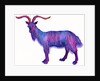Goat Capricorn, 1996 by Jane Tattersfield