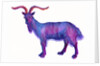 Goat Capricorn, 1996 by Jane Tattersfield