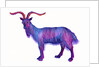 Goat Capricorn, 1996 by Jane Tattersfield