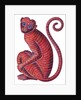 Monkey, 1996 by Jane Tattersfield
