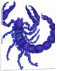 Scorpio, 1996 by Jane Tattersfield