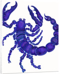 Scorpio, 1996 by Jane Tattersfield