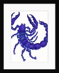 Scorpio, 1996 by Jane Tattersfield