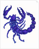 Scorpio, 1996 by Jane Tattersfield