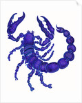 Scorpio, 1996 by Jane Tattersfield