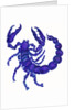 Scorpio, 1996 by Jane Tattersfield