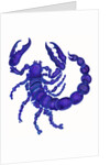 Scorpio, 1996 by Jane Tattersfield