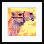 Camel, 1994 by Jane Tattersfield