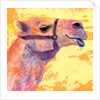 Camel, 1994 by Jane Tattersfield