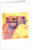 Camel, 1994 by Jane Tattersfield