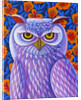 Snowy Owl, 2013 by Jane Tattersfield