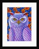 Snowy Owl, 2013 by Jane Tattersfield