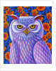 Snowy Owl, 2013 by Jane Tattersfield