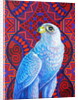 Grey falcon, 2017 by Jane Tattersfield