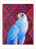 Grey falcon, 2017 by Jane Tattersfield