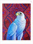 Grey falcon, 2017 by Jane Tattersfield