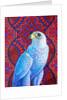 Grey falcon, 2017 by Jane Tattersfield