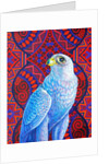 Grey falcon, 2017 by Jane Tattersfield