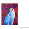 Grey falcon, 2017 by Jane Tattersfield