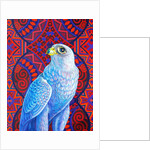 Grey falcon, 2017 by Jane Tattersfield