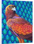 Golden eagle, 2017 by Jane Tattersfield