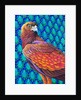 Golden eagle, 2017 by Jane Tattersfield