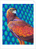 Golden eagle, 2017 by Jane Tattersfield