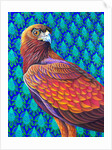 Golden eagle, 2017 by Jane Tattersfield