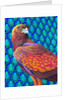 Golden eagle, 2017 by Jane Tattersfield