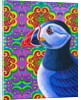 Puffin, 2018 by Jane Tattersfield
