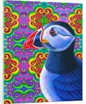 Puffin, 2018 by Jane Tattersfield