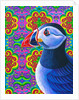 Puffin, 2018 by Jane Tattersfield
