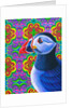 Puffin, 2018 by Jane Tattersfield