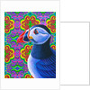 Puffin, 2018 by Jane Tattersfield