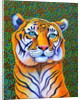 Tiger, 2018 by Jane Tattersfield
