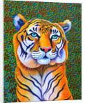 Tiger, 2018 by Jane Tattersfield