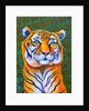 Tiger, 2018 by Jane Tattersfield