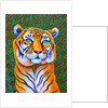 Tiger, 2018 by Jane Tattersfield