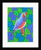 Zebra finch, 2023 by Jane Tattersfield