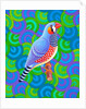 Zebra finch, 2023 by Jane Tattersfield