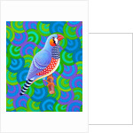 Zebra finch, 2023 by Jane Tattersfield