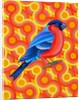 Bullfinch, 2023 by Jane Tattersfield
