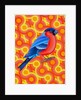 Bullfinch, 2023 by Jane Tattersfield