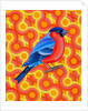 Bullfinch, 2023 by Jane Tattersfield
